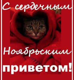 Открытка. Открытка Привет! Открытка Ноябрьский привет, открытка Ноябрьский приветик, надпись Ноябрьский привет, картинка Ноябрьский приветик Открытка Ноябрьский привет, открытка Ноябрьский приветик, надпись Ноябрьский привет, надпись Ноябрьский приветик, картинка Ноябрьский приветик, картинка Ноябрьский привет, ноябрь, Ноябрьский привет