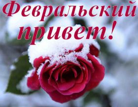 Открытка. Открытка Привет! Открытка Февральский привет, открытка Февральский приветик, надпись Февральский привет, картинка Февральский приветик Открытка Февральский привет, открытка Февральский приветик, надпись Февральский привет, надпись Февральский приветик, картинка Февральский приветик, картинка Февральский привет, февраль, Февральский привет