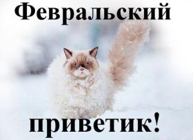 Открытка. Открытка Привет! Открытка Февральский привет, открытка Февральский приветик, надпись Февральский привет, картинка Февральский приветик Открытка Февральский привет, открытка Февральский приветик, надпись Февральский привет, надпись Февральский приветик, картинка Февральский приветик, картинка Февральский привет, февраль, Февральский привет
