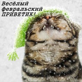 Открытка. Открытка Привет! Открытка Февральский привет, открытка Февральский приветик, надпись Февральский привет, картинка Февральский приветик Открытка Февральский привет, открытка Февральский приветик, надпись Февральский привет, надпись Февральский приветик, картинка Февральский приветик, картинка Февральский привет, февраль, Февральский привет
