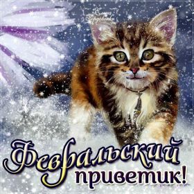 Открытка. Открытка Привет! Открытка Февральский привет, открытка Февральский приветик, надпись Февральский привет, картинка Февральский приветик Открытка Февральский привет, открытка Февральский приветик, надпись Февральский привет, надпись Февральский приветик, картинка Февральский приветик, картинка Февральский привет, февраль, Февральский привет