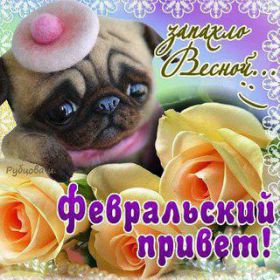 Открытка. Открытка Привет! Открытка Февральский привет, открытка Февральский приветик, надпись Февральский привет, картинка Февральский приветик Открытка Февральский привет, открытка Февральский приветик, надпись Февральский привет, надпись Февральский приветик, картинка Февральский приветик, картинка Февральский привет, февраль, Февральский привет