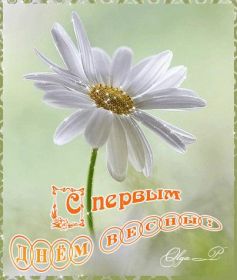 Открытка. Открытка Привет! Открытка весенний привет, открытка весенний приветик, картинка весенний приветик Открытка весенний привет, открытка весенний приветик, картинка весенний привет, картинка весенний приветик, надпись весенний привет, надпись весенний приветик