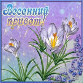 Открытка. Открытка Привет! Открытка весенний привет, открытка весенний приветик, картинка весенний приветик Открытка весенний привет, открытка весенний приветик, картинка весенний привет, картинка весенний приветик, надпись весенний привет, надпись весенний приветик