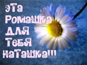 Открытка. Открытки Для тебя Открытка для тебя, картинка тебе, надпись тебе, для тебя, открытка просто так Открытка для тебя, открытка тебе, открытка просто так, картинка для тебя, картинка тебе, надпись для тебя, надпись тебе, открытка просто так, цветы для тебя, цветы тебе