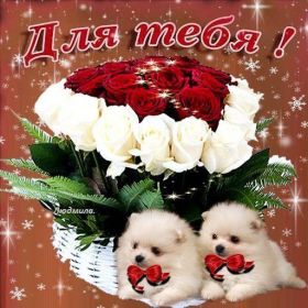 Открытка. Открытки Для тебя Открытка для тебя, картинка тебе, надпись тебе, для тебя, открытка просто так Открытка для тебя, открытка тебе, открытка просто так, картинка для тебя, картинка тебе, надпись для тебя, надпись тебе, открытка просто так, цветы для тебя, цветы тебе