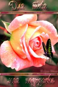 Открытка. Открытки Для тебя Открытка для тебя, картинка тебе, надпись тебе, для тебя, открытка просто так Открытка для тебя, открытка тебе, открытка просто так, картинка для тебя, картинка тебе, надпись для тебя, надпись тебе, открытка просто так, цветы для тебя, цветы тебе