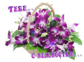 Открытка. Открытки Для тебя Открытка для тебя, картинка тебе, надпись тебе, для тебя, открытка просто так Открытка для тебя, открытка тебе, открытка просто так, картинка для тебя, картинка тебе, надпись для тебя, надпись тебе, открытка просто так, цветы для тебя, цветы тебе