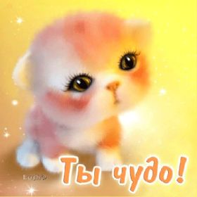 Открытка. Открытки Для тебя Открытка для тебя, картинка тебе, надпись тебе, для тебя, открытка просто так Открытка для тебя, открытка тебе, открытка просто так, картинка для тебя, картинка тебе, надпись для тебя, надпись тебе, открытка просто так, цветы для тебя, цветы тебе