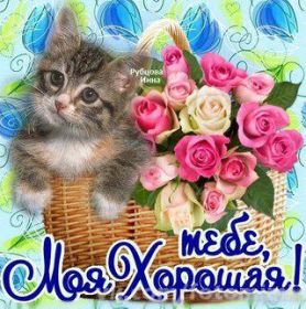 Открытка. Открытки Для тебя Открытка для тебя, картинка тебе, надпись тебе, для тебя, открытка просто так Открытка для тебя, открытка тебе, открытка просто так, картинка для тебя, картинка тебе, надпись для тебя, надпись тебе, открытка просто так, цветы для тебя, цветы тебе