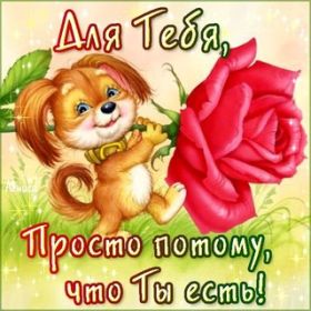 Открытка. Открытки Для тебя Открытка для тебя, картинка тебе, надпись тебе, для тебя, открытка просто так Открытка для тебя, открытка тебе, открытка просто так, картинка для тебя, картинка тебе, надпись для тебя, надпись тебе, открытка просто так, цветы для тебя, цветы тебе