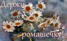 Открытка. Открытки Для тебя Открытка для тебя, картинка тебе, надпись тебе, для тебя, открытка просто так Открытка для тебя, открытка тебе, открытка просто так, картинка для тебя, картинка тебе, надпись для тебя, надпись тебе, открытка просто так, цветы для тебя, цветы тебе