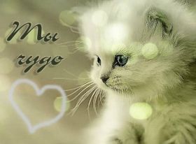 Открытка. Открытки Для тебя Открытка для тебя, картинка тебе, надпись тебе, для тебя, открытка просто так Открытка для тебя, открытка тебе, открытка просто так, картинка для тебя, картинка тебе, надпись для тебя, надпись тебе, открытка просто так, цветы для тебя, цветы тебе