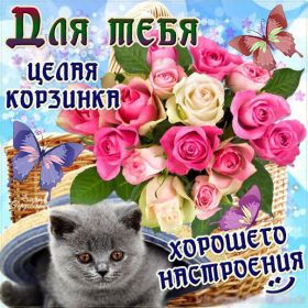 Открытка. Открытки Для тебя Открытка для тебя, картинка тебе, надпись тебе, для тебя, открытка просто так Открытка для тебя, открытка тебе, открытка просто так, картинка для тебя, картинка тебе, надпись для тебя, надпись тебе, открытка просто так, цветы для тебя, цветы тебе