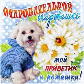 Открытка! Открытка для тебя, картинка тебе, надпись тебе, для тебя, открытка просто так