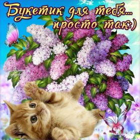 Открытка! Открытка для тебя, картинка тебе, надпись тебе, для тебя, открытка просто так