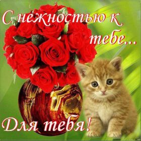 Открытка! Открытка для тебя, картинка тебе, надпись тебе, для тебя, открытка просто так