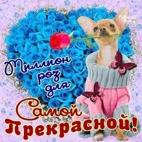 Открытка. Открытки Для тебя Открытка для тебя, картинка тебе, надпись тебе, для тебя, открытка просто так Открытка для тебя, открытка тебе, открытка просто так, картинка для тебя, картинка тебе, надпись для тебя, надпись тебе, открытка просто так, цветы для тебя, цветы тебе