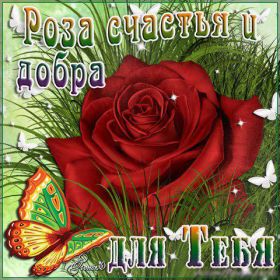 Открытка. Открытки Для тебя Открытка для тебя, картинка тебе, надпись тебе, для тебя, открытка просто так Открытка для тебя, открытка тебе, открытка просто так, картинка для тебя, картинка тебе, надпись для тебя, надпись тебе, открытка просто так, цветы для тебя, цветы тебе