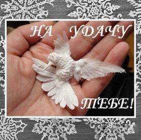 Открытка. Открытки Для тебя Открытка для тебя, картинка тебе, надпись тебе, для тебя, открытка просто так Открытка для тебя, открытка тебе, открытка просто так, картинка для тебя, картинка тебе, надпись для тебя, надпись тебе, открытка просто так, цветы для тебя, цветы тебе