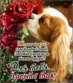 Открытка. Открытки Для тебя Открытка для тебя, картинка тебе, надпись тебе, для тебя, открытка просто так Открытка для тебя, открытка тебе, открытка просто так, картинка для тебя, картинка тебе, надпись для тебя, надпись тебе, открытка просто так, цветы для тебя, цветы тебе