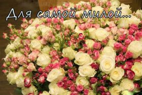 Открытка. Открытки Для тебя Открытка для тебя, картинка тебе, надпись тебе, для тебя, открытка просто так Открытка для тебя, открытка тебе, открытка просто так, картинка для тебя, картинка тебе, надпись для тебя, надпись тебе, открытка просто так, цветы для тебя, цветы тебе