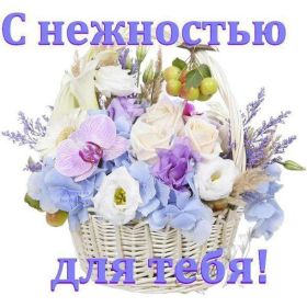 Открытка. Открытки Для тебя Открытка для тебя, картинка тебе, надпись тебе, для тебя, открытка просто так Открытка для тебя, открытка тебе, открытка просто так, картинка для тебя, картинка тебе, надпись для тебя, надпись тебе, открытка просто так, цветы для тебя, цветы тебе