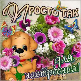 Открытка. Открытки Для тебя Открытка для тебя, картинка тебе, надпись тебе, для тебя, открытка просто так Открытка для тебя, открытка тебе, открытка просто так, картинка для тебя, картинка тебе, надпись для тебя, надпись тебе, открытка просто так, цветы для тебя, цветы тебе