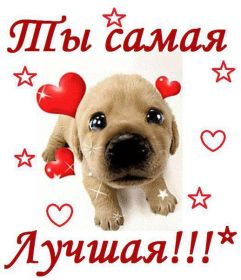 Открытка. Открытки Для тебя Открытка для тебя, картинка тебе, надпись тебе, для тебя, открытка просто так Открытка для тебя, открытка тебе, открытка просто так, картинка для тебя, картинка тебе, надпись для тебя, надпись тебе, открытка просто так, цветы для тебя, цветы тебе