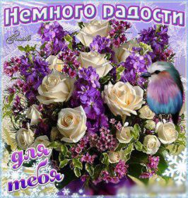 Открытка. Открытки Для тебя Открытка для тебя, картинка тебе, надпись тебе, для тебя, открытка просто так Открытка для тебя, открытка тебе, открытка просто так, картинка для тебя, картинка тебе, надпись для тебя, надпись тебе, открытка просто так, цветы для тебя, цветы тебе