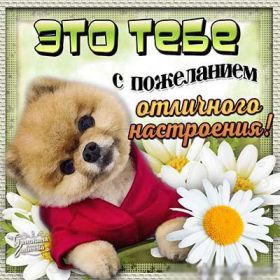 Открытка. Открытки Для тебя Открытка для тебя, картинка тебе, надпись тебе, для тебя, открытка просто так Открытка для тебя, открытка тебе, открытка просто так, картинка для тебя, картинка тебе, надпись для тебя, надпись тебе, открытка просто так, цветы для тебя, цветы тебе