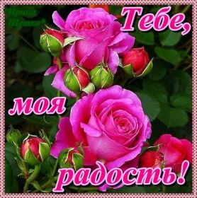 Открытка. Открытки Для тебя Открытка для тебя, картинка тебе, надпись тебе, для тебя, открытка просто так Открытка для тебя, открытка тебе, открытка просто так, картинка для тебя, картинка тебе, надпись для тебя, надпись тебе, открытка просто так, цветы для тебя, цветы тебе