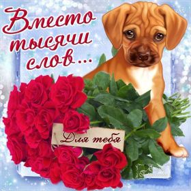 Открытка. Открытки Для тебя Открытка для тебя, картинка тебе, надпись тебе, для тебя, открытка просто так Открытка для тебя, открытка тебе, открытка просто так, картинка для тебя, картинка тебе, надпись для тебя, надпись тебе, открытка просто так, цветы для тебя, цветы тебе