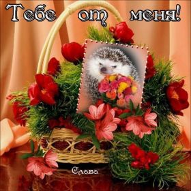 Открытка. Открытки Для тебя Открытка для тебя, картинка тебе, надпись тебе, для тебя, открытка просто так Открытка для тебя, открытка тебе, открытка просто так, картинка для тебя, картинка тебе, надпись для тебя, надпись тебе, открытка просто так, цветы для тебя, цветы тебе