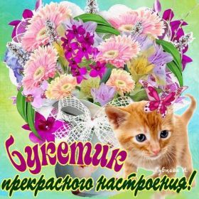 Открытка. Открытки Для тебя Открытка для тебя, картинка тебе, надпись тебе, для тебя, открытка просто так Открытка для тебя, открытка тебе, открытка просто так, картинка для тебя, картинка тебе, надпись для тебя, надпись тебе, открытка просто так, цветы для тебя, цветы тебе