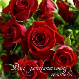 Открытка. Открытки Для тебя Открытка для тебя, картинка тебе, надпись тебе, для тебя, открытка просто так Открытка для тебя, открытка тебе, открытка просто так, картинка для тебя, картинка тебе, надпись для тебя, надпись тебе, открытка просто так, цветы для тебя, цветы тебе