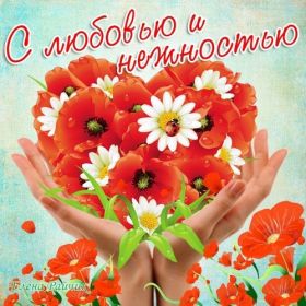 Открытка. Открытки Для тебя Открытка для тебя, картинка тебе, надпись тебе, для тебя, открытка просто так Открытка для тебя, открытка тебе, открытка просто так, картинка для тебя, картинка тебе, надпись для тебя, надпись тебе, открытка просто так, цветы для тебя, цветы тебе