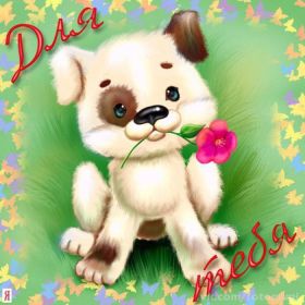 Открытка. Открытки Для тебя Открытка для тебя, картинка тебе, надпись тебе, для тебя, открытка просто так Открытка для тебя, открытка тебе, открытка просто так, картинка для тебя, картинка тебе, надпись для тебя, надпись тебе, открытка просто так, цветы для тебя, цветы тебе