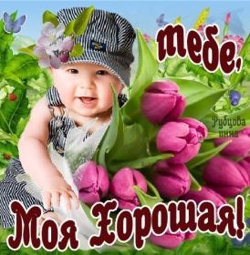 Открытка. Открытки Для тебя Открытка для тебя, картинка тебе, надпись тебе, для тебя, открытка просто так Открытка для тебя, открытка тебе, открытка просто так, картинка для тебя, картинка тебе, надпись для тебя, надпись тебе, открытка просто так, цветы для тебя, цветы тебе