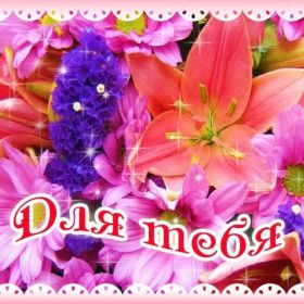 Открытка. Открытки Для тебя Открытка для тебя, картинка тебе, надпись тебе, для тебя, открытка просто так Открытка для тебя, открытка тебе, открытка просто так, картинка для тебя, картинка тебе, надпись для тебя, надпись тебе, открытка просто так, цветы для тебя, цветы тебе