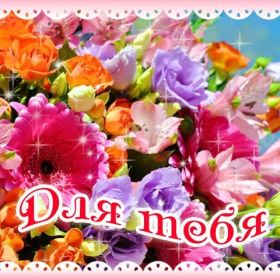 Открытка. Открытки Для тебя Открытка для тебя, картинка тебе, надпись тебе, для тебя, открытка просто так Открытка для тебя, открытка тебе, открытка просто так, картинка для тебя, картинка тебе, надпись для тебя, надпись тебе, открытка просто так, цветы для тебя, цветы тебе