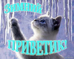 Открытка. Открытка Привет! Открытка зимний привет, открытка зимний приветик, надпись зимний привет, картинка зимний приветик Открытка зимний привет, открытка зимний приветик, надпись зимний привет, надпись зимний приветик, картинка зимний приветик, картинка зимний привет, зима, зимний привет, снежный привет