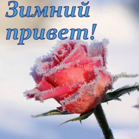 Открытка. Открытка Привет! Открытка зимний привет, открытка зимний приветик, надпись зимний привет, картинка зимний приветик Открытка зимний привет, открытка зимний приветик, надпись зимний привет, надпись зимний приветик, картинка зимний приветик, картинка зимний привет, зима, зимний привет, снежный привет