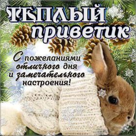 Открытка. Открытка Привет! Открытка зимний привет, открытка зимний приветик, надпись зимний привет, картинка зимний приветик Открытка зимний привет, открытка зимний приветик, надпись зимний привет, надпись зимний приветик, картинка зимний приветик, картинка зимний привет, зима, зимний привет, снежный привет