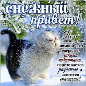 Открытка. Открытка Привет! Открытка зимний привет, открытка зимний приветик, надпись зимний привет, картинка зимний приветик Открытка зимний привет, открытка зимний приветик, надпись зимний привет, надпись зимний приветик, картинка зимний приветик, картинка зимний привет, зима, зимний привет, снежный привет