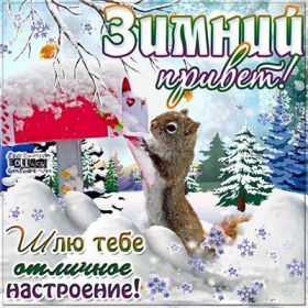 Открытка. Открытка Привет! Открытка зимний привет, открытка зимний приветик, надпись зимний привет, картинка зимний приветик Открытка зимний привет, открытка зимний приветик, надпись зимний привет, надпись зимний приветик, картинка зимний приветик, картинка зимний привет, зима, зимний привет, снежный привет