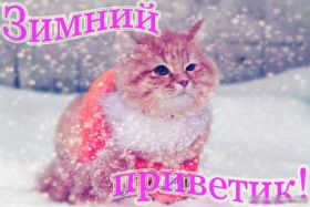 Открытка. Открытка Привет! Открытка зимний привет, открытка зимний приветик, надпись зимний привет, картинка зимний приветик Открытка зимний привет, открытка зимний приветик, надпись зимний привет, надпись зимний приветик, картинка зимний приветик, картинка зимний привет, зима, зимний привет, снежный привет