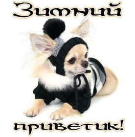 Открытка. Открытка Привет! Открытка зимний привет, открытка зимний приветик, надпись зимний привет, картинка зимний приветик Открытка зимний привет, открытка зимний приветик, надпись зимний привет, надпись зимний приветик, картинка зимний приветик, картинка зимний привет, зима, зимний привет, снежный привет