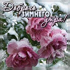 Открытка. Открытка Привет! Открытка зимний привет, открытка зимний приветик, надпись зимний привет, картинка зимний приветик Открытка зимний привет, открытка зимний приветик, надпись зимний привет, надпись зимний приветик, картинка зимний приветик, картинка зимний привет, зима, зимний привет, снежный привет