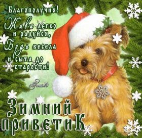 Открытка. Открытка Привет! Открытка зимний привет, открытка зимний приветик, надпись зимний привет, картинка зимний приветик Открытка зимний привет, открытка зимний приветик, надпись зимний привет, надпись зимний приветик, картинка зимний приветик, картинка зимний привет, зима, зимний привет, снежный привет